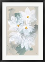 Narcissus I Fine Art Print