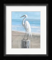 Egret by the Sea Framed Print