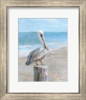 Pelican by the Sea Fine Art Print