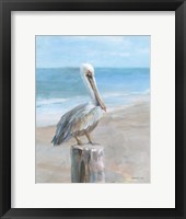 Pelican by the Sea Framed Print