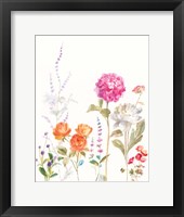 Picket Fence Flowers II Framed Print