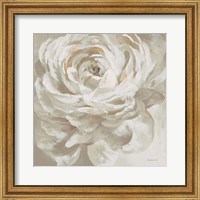 Neutral Rose Fine Art Print
