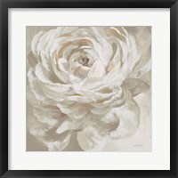 Neutral Rose Fine Art Print