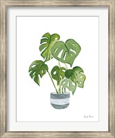 Green House Plants II Fine Art Print