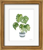 Green House Plants II Fine Art Print