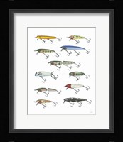 Fresh Catch IV Fine Art Print