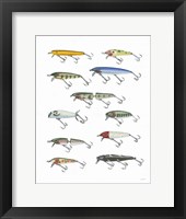 Fresh Catch IV Framed Print