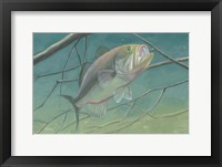 Fresh Catch II Framed Print