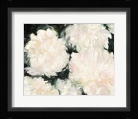 Blushing Summer I on Black Fine Art Print