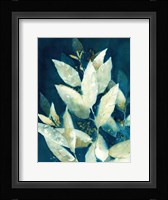 Shower of Gold II Fine Art Print