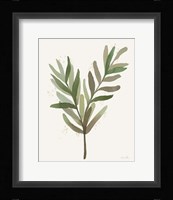 Leaf and Stem VIII Framed Print