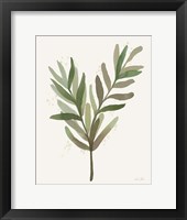 Leaf and Stem VIII Fine Art Print