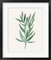 Leaf and Stem VI Fine Art Print