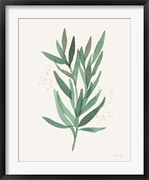 Leaf and Stem VI Fine Art Print