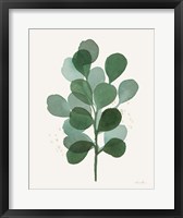 Leaf and Stem V Fine Art Print