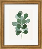 Leaf and Stem V Fine Art Print