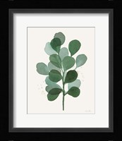 Leaf and Stem V Framed Print
