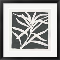 Growing Gray Framed Print