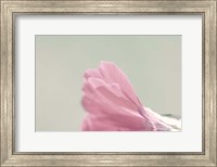 Hollyhock Edge Fine Art Print