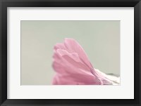 Hollyhock Edge Fine Art Print