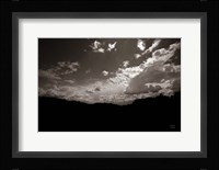 From Below Fine Art Print