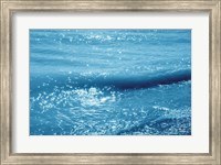 Sparkling Waters I Fine Art Print