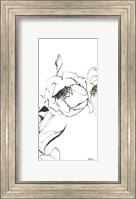 Sketch of Roses Panel III Fine Art Print
