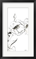Sketch of Roses Panel III Framed Print