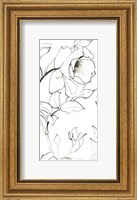 Sketch of Roses Panel II Fine Art Print