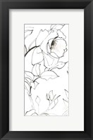 Sketch of Roses Panel II Fine Art Print