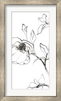 Sketch of Roses Panel I Fine Art Print