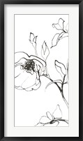 Sketch of Roses Panel I Fine Art Print