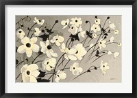 Anemones Japonaises Gray Fine Art Print