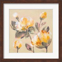 Blooming Peony II Fine Art Print