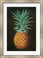 Vintage Pineapple II Fine Art Print