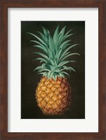 Vintage Pineapple II Fine Art Print