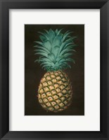 Vintage Pineapple I Fine Art Print
