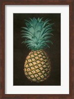 Vintage Pineapple I Fine Art Print