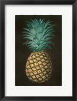 Vintage Pineapple I Framed Print