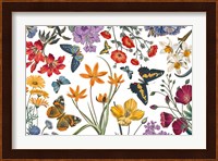 Butterfly Garden VI Fine Art Print
