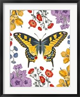 Butterfly Garden IV Fine Art Print