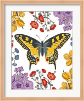 Butterfly Garden IV Fine Art Print