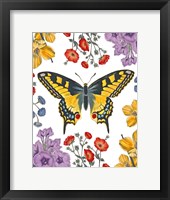 Butterfly Garden IV Framed Print