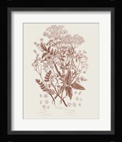 Flowering Plants I Brown Framed Print