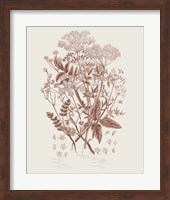 Flowering Plants I Brown Fine Art Print