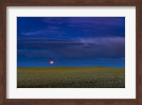 Harvest Moon Rising, Alberta, Canada Fine Art Print