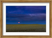 Harvest Moon Rising, Alberta, Canada Fine Art Print