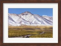 Panoramic View Of the Lascar Volcano Complex in Chile Fine Art Print