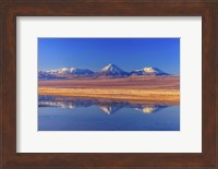 Licancabur Stratovolcano Reflected in Laguna Tebinquinche, Chile Fine Art Print