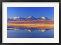 Licancabur Stratovolcano Reflected in Laguna Tebinquinche, Chile Fine Art Print